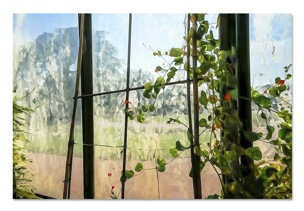 Jardin botanique, parc de la tête d'or. Leporelo photographies. Tirage d'art