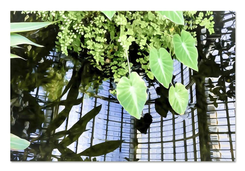 photo d'art de Lyon, reflet sur le bassin aquatique de la grande serre du parc de la tête d'or