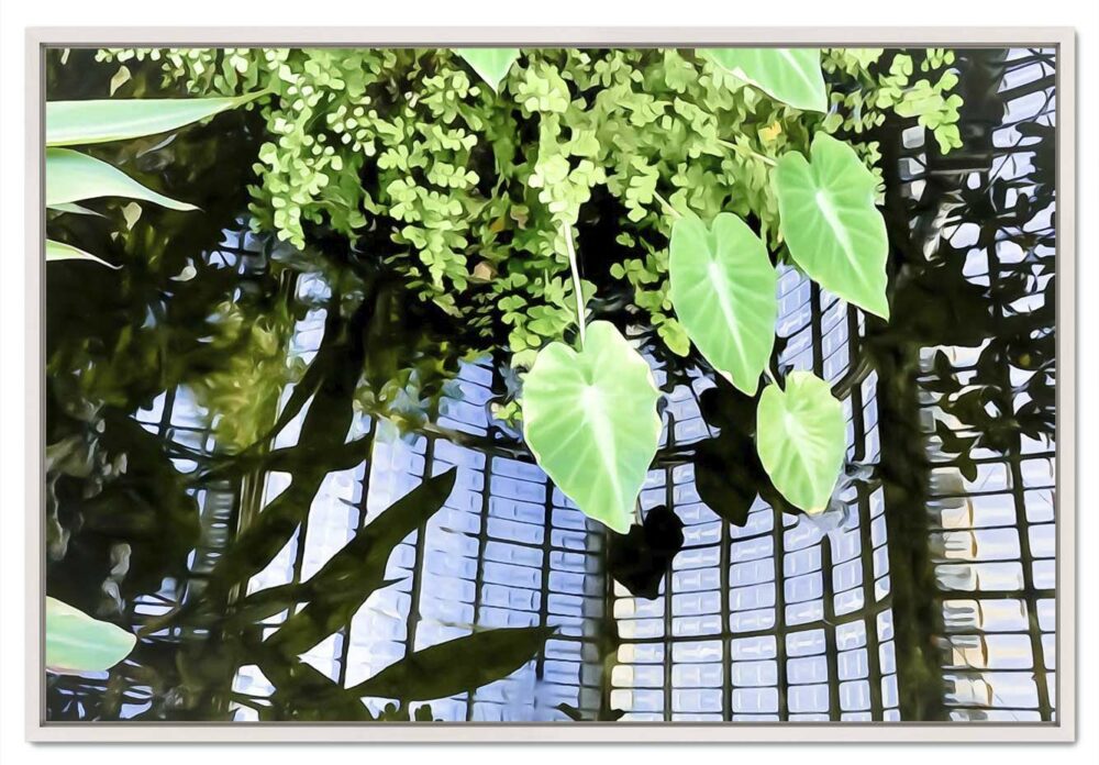 Plantes exotiques, parc de la tête d'or. Leporelo. Photo de lyon en édition limitée