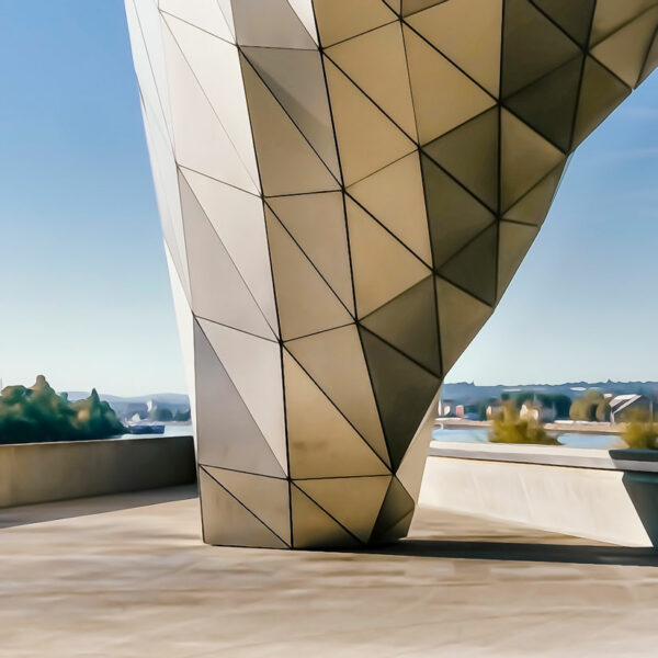 Musée des Confluences