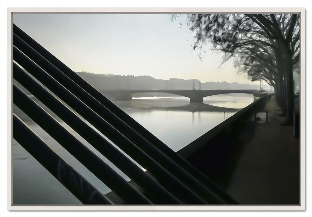 Passerelle du collège et pont lafayette. Leporelo. Photo de lyon en édition limitée