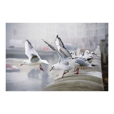 L’envol, quai Saint-Antoine