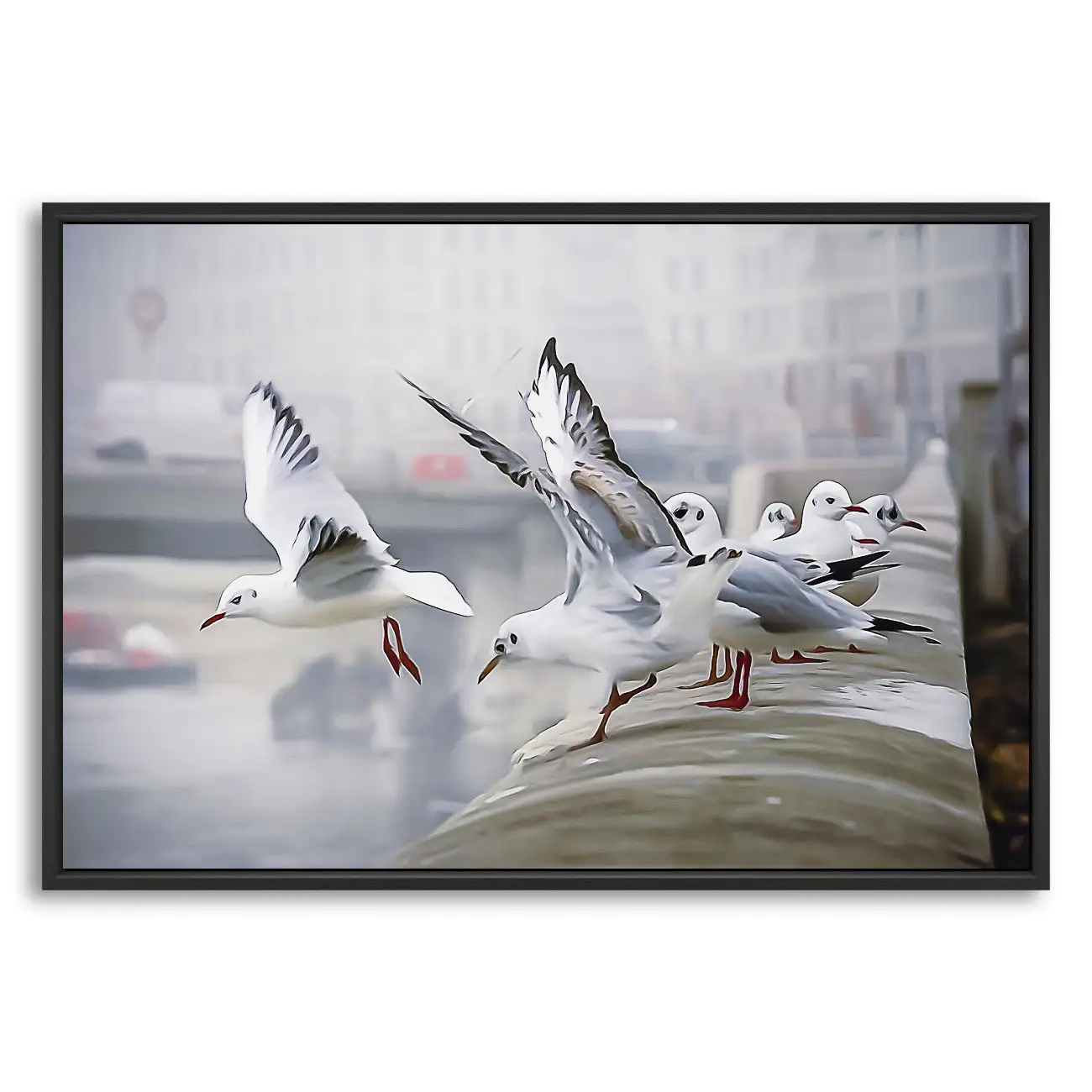 L’envol, quai Saint-Antoine – Image 4