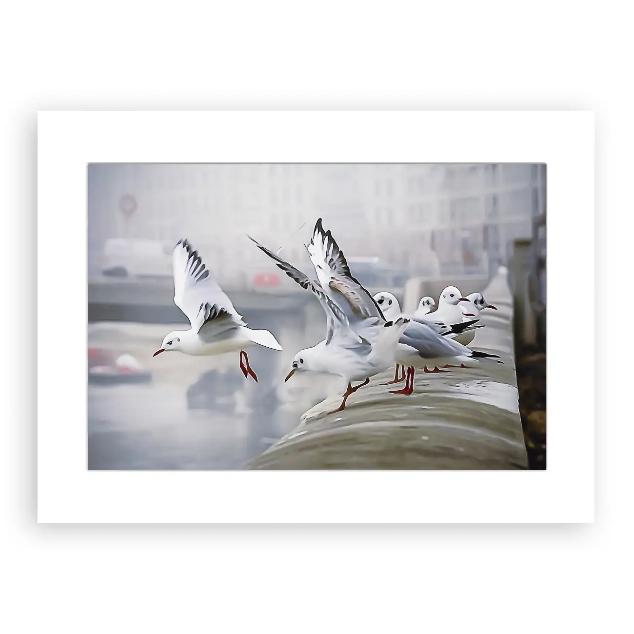 L’envol, quai Saint-Antoine – Image 2