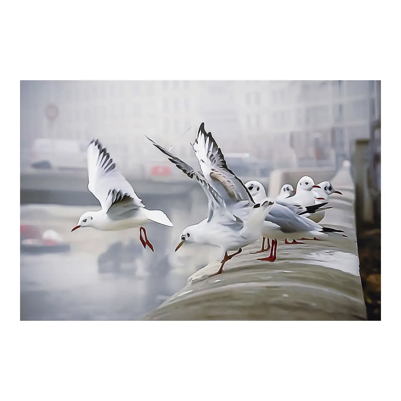 L’envol, quai Saint-Antoine