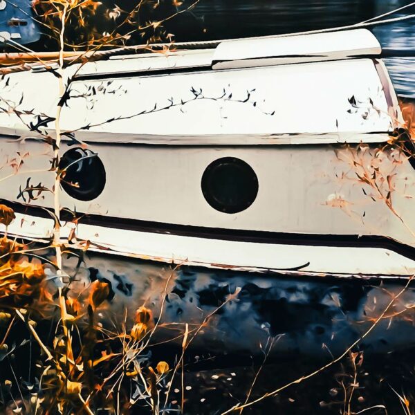 La barque