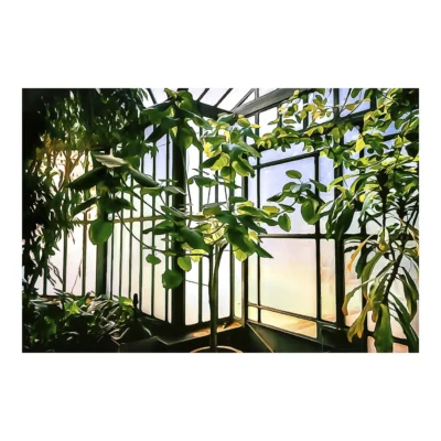 Lumière d&rsquo;automne