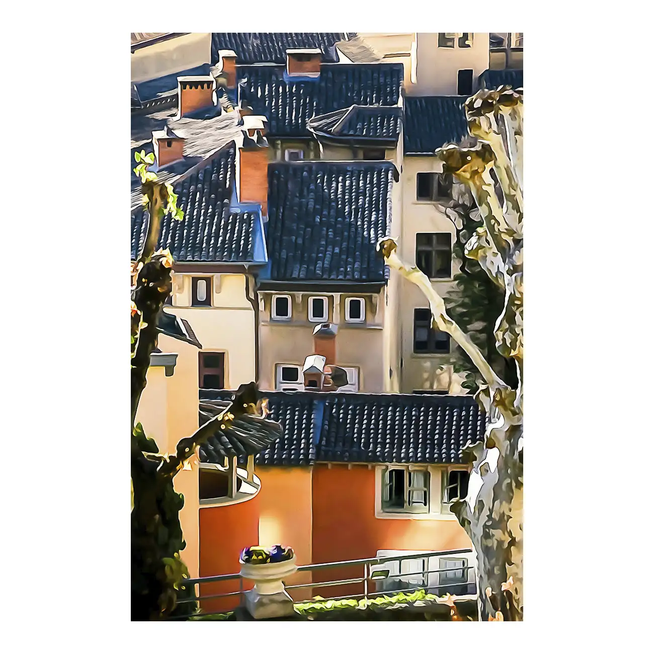 Lumière sur la Tour Rose