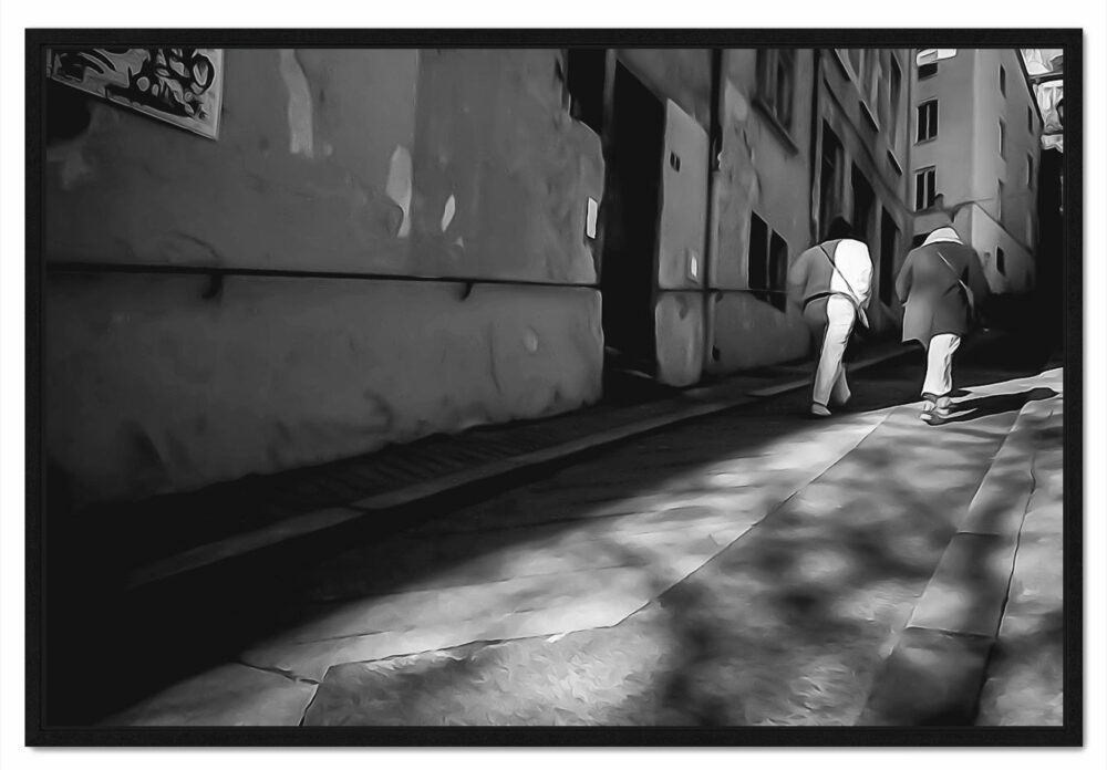 Quartier Saint-Georges. Montée des épies. Leporelo photo noir et blanc de Lyon