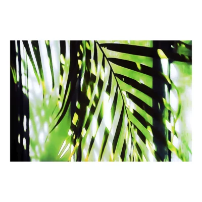 Ondulations végétales