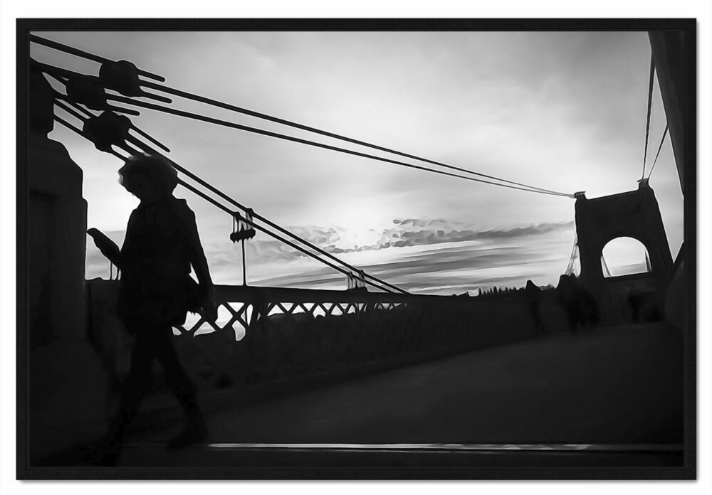 Passerelle du collège. Le Rhône. Leporelo. Photo de lyon en édition limitée