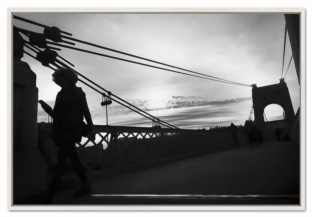 Passerelle du collège. Le Rhône. Leporelo. Photos d’art en série limitée