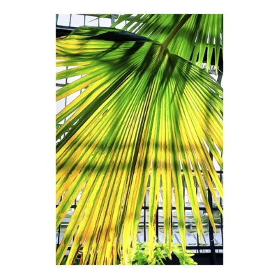 Un peu d&rsquo;ombre